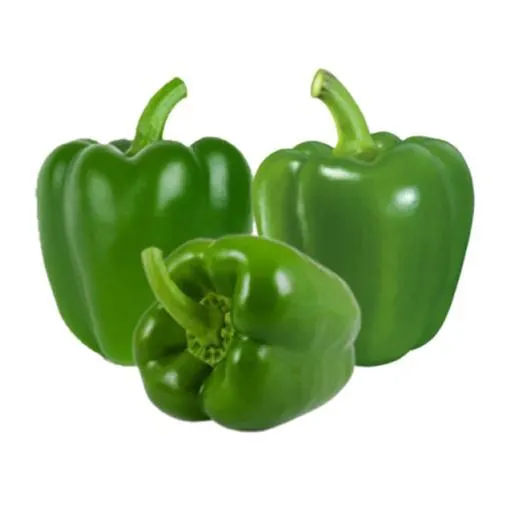 Capsicum Green UAE