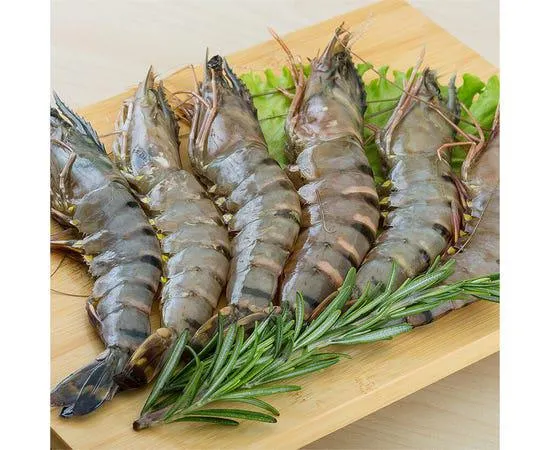 Fresh Shrimps U10 - Oman