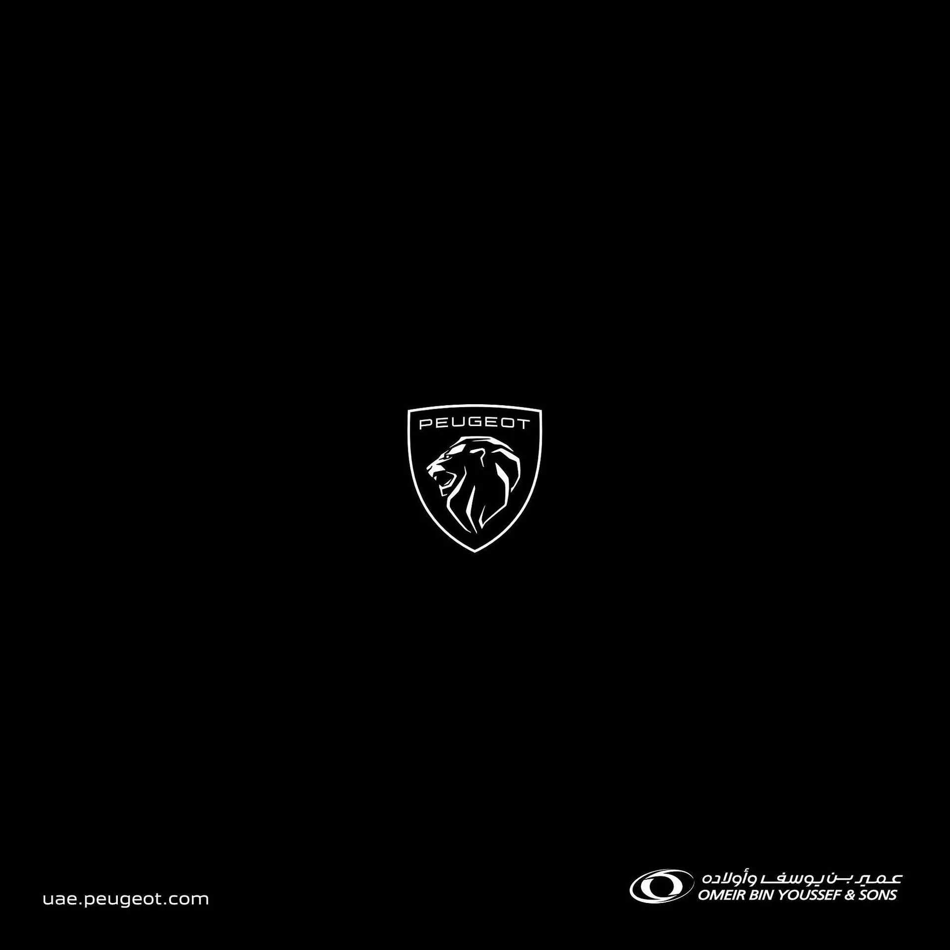 Peugeot catalogue from 8 August to 8 August 2024 - Offers page 13