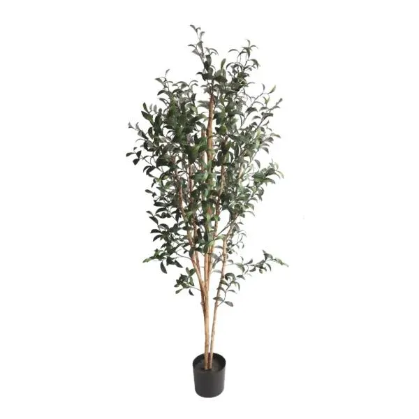 American Olive Tree 72″ Victorian Style