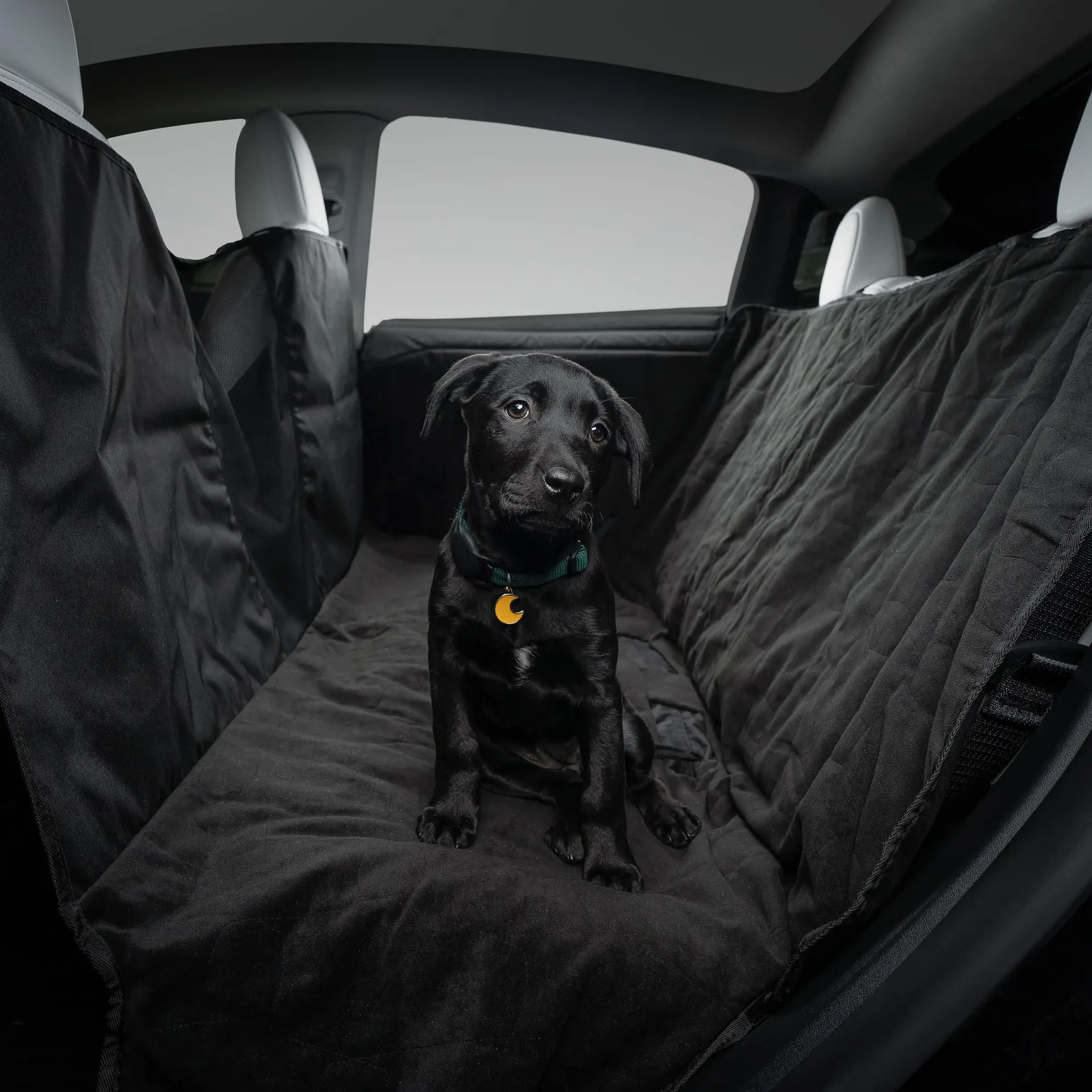 Model S/3/Y Pet Liner