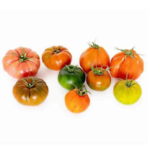 Tomato Heirloom