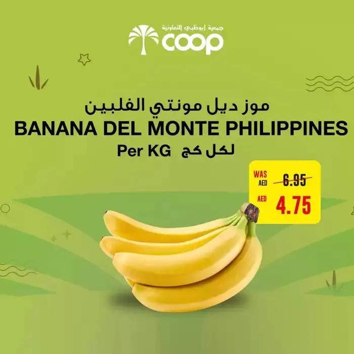 Attractive special offers for everyone from 28 November to 12 December 2024 - Offers page 1