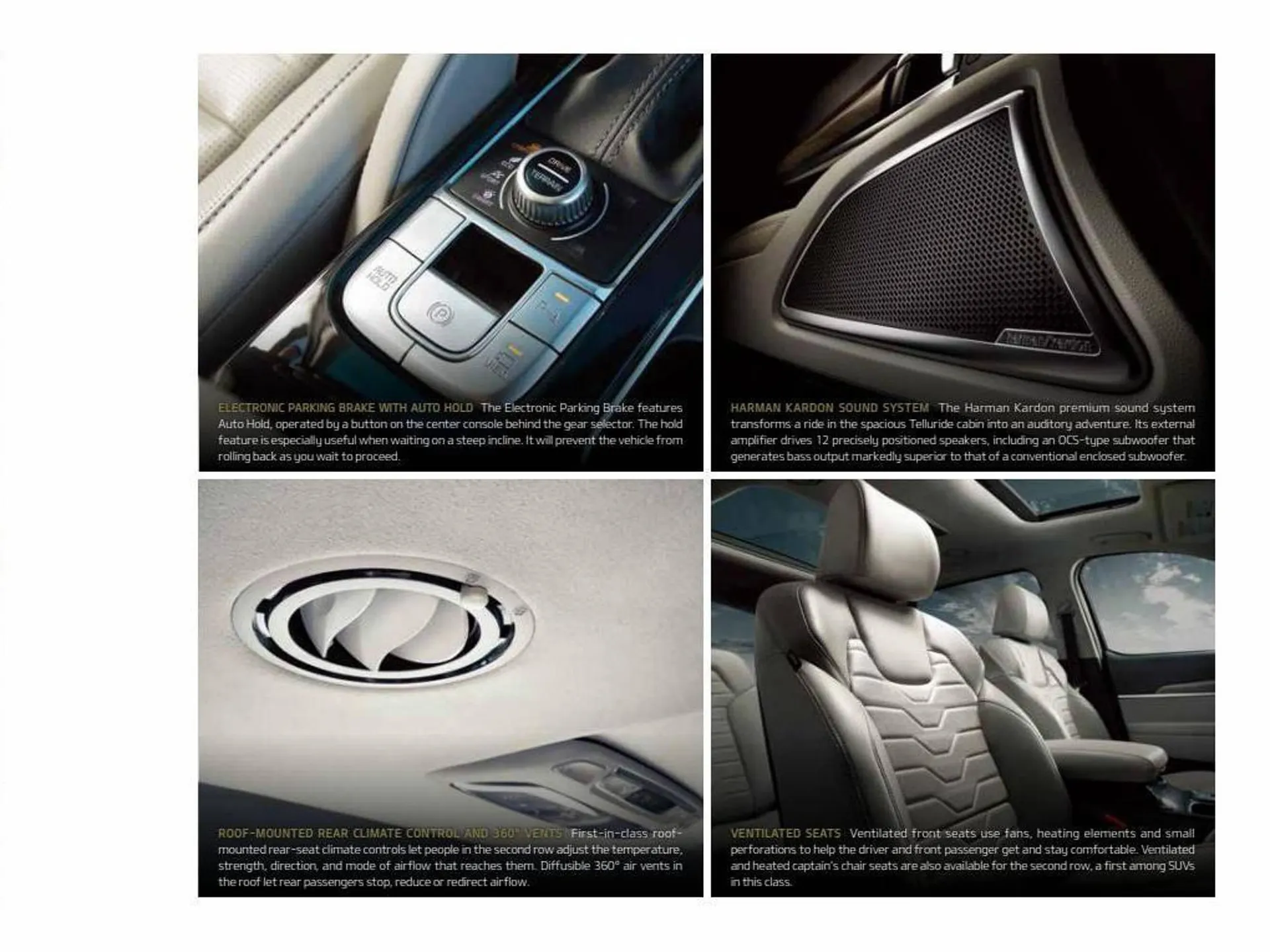 Kia catalogue from 30 December to 31 January 2024 - Offers page 17