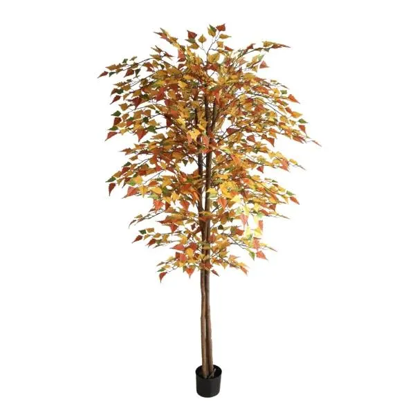Autumn Birch Tree 72″ Regular Style