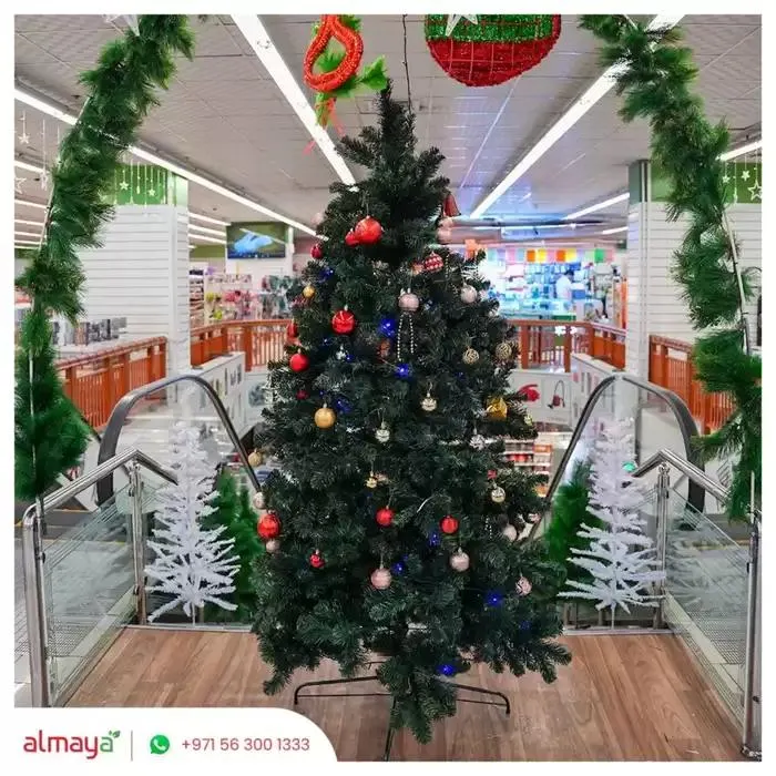 Exclusive bargains from 28 December to 11 January 2025 - Offers page 2