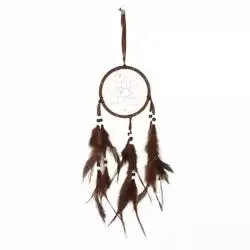 Handmade Cute Dream Catcher With Beads And Feathers For Positive Energy At Home- Brown