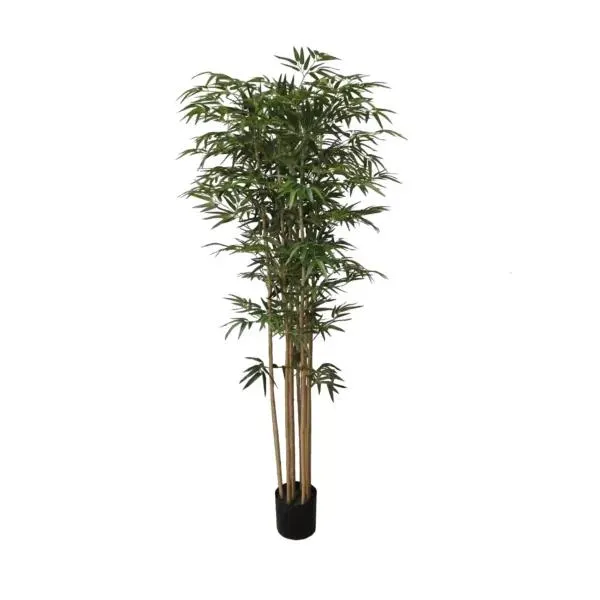 New Bamboo Tree 60″ Regular Style