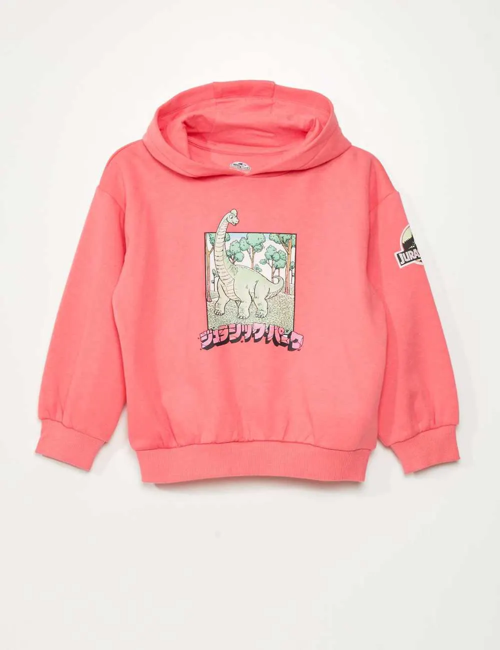 'Jurassic Park' hoodie