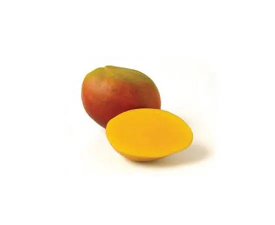 Mango Kent - Egypt