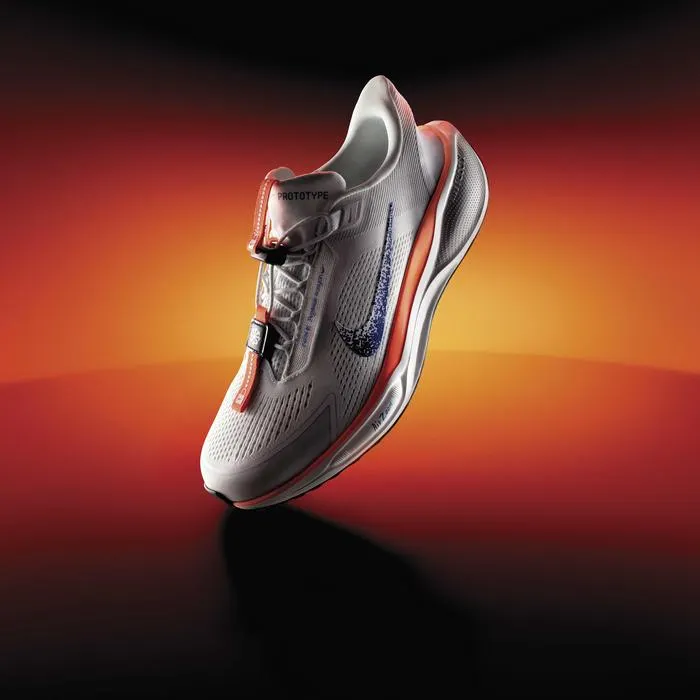 Nike Pegasus EasyOn Blueprint