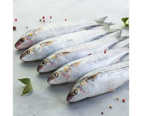 Small Biah Fish - UAE