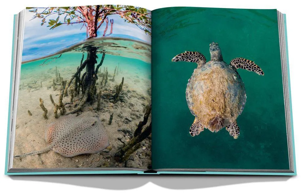 Red Sea - The Saudi Coast | Assouline