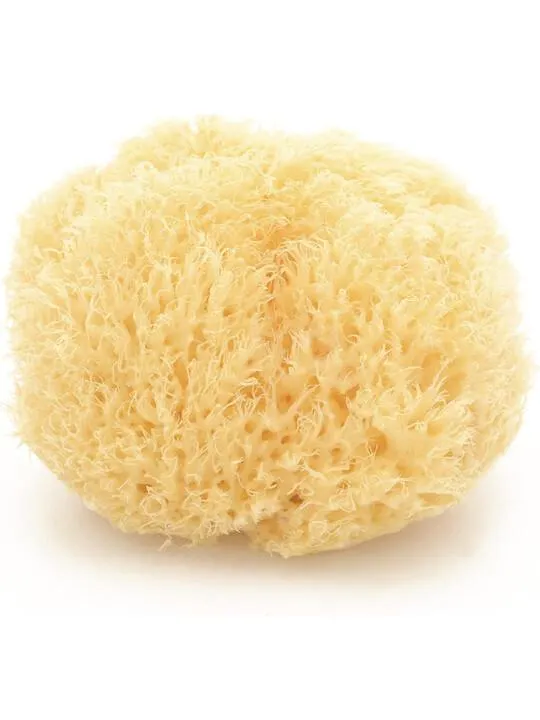 Babu Natural Honeycomb Bath Sponge - Large No.14