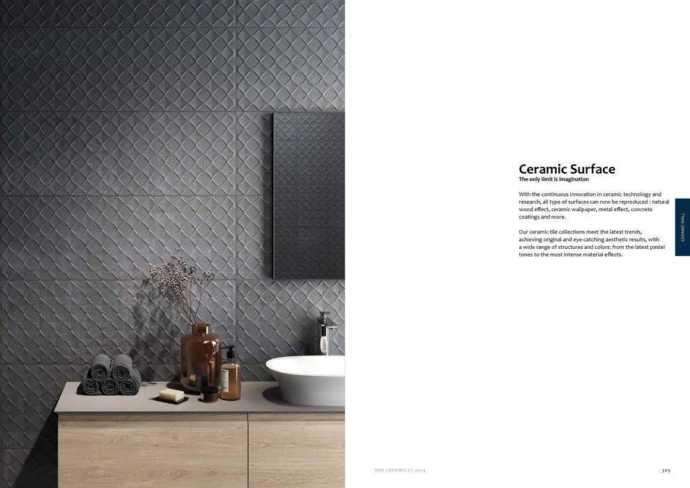 Surfaces Porcelain and Ceramics 2024 from 2 February to 31 December 2024 - Offers page 156
