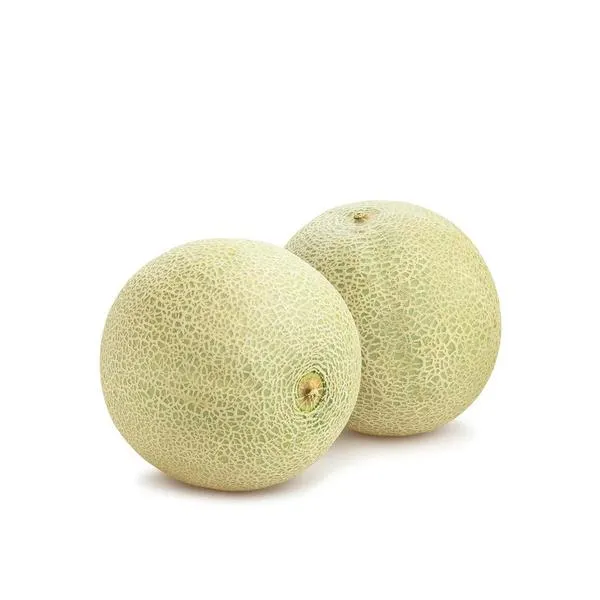 Cantaloupe Melon USA