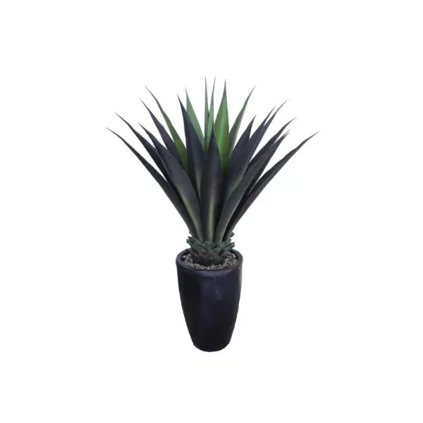 Plant In Deluxe Planter 42″ Agave
