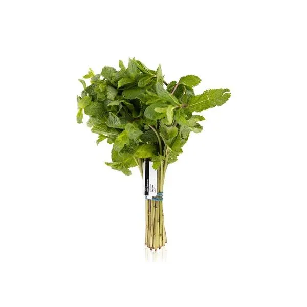 Waitrose Fresh Mint Kenya 100g