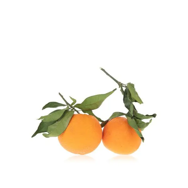 Organic navel orange with leaves (Spain)