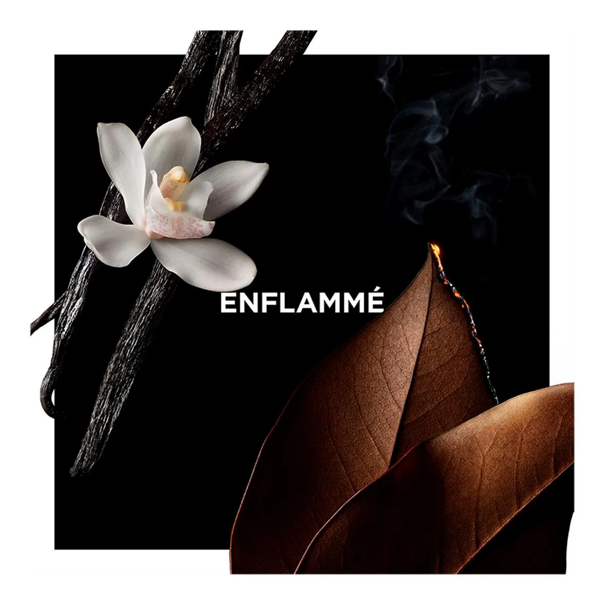 LA COLLECTION PARTICULIÈRE - EAU DE PARFUM
