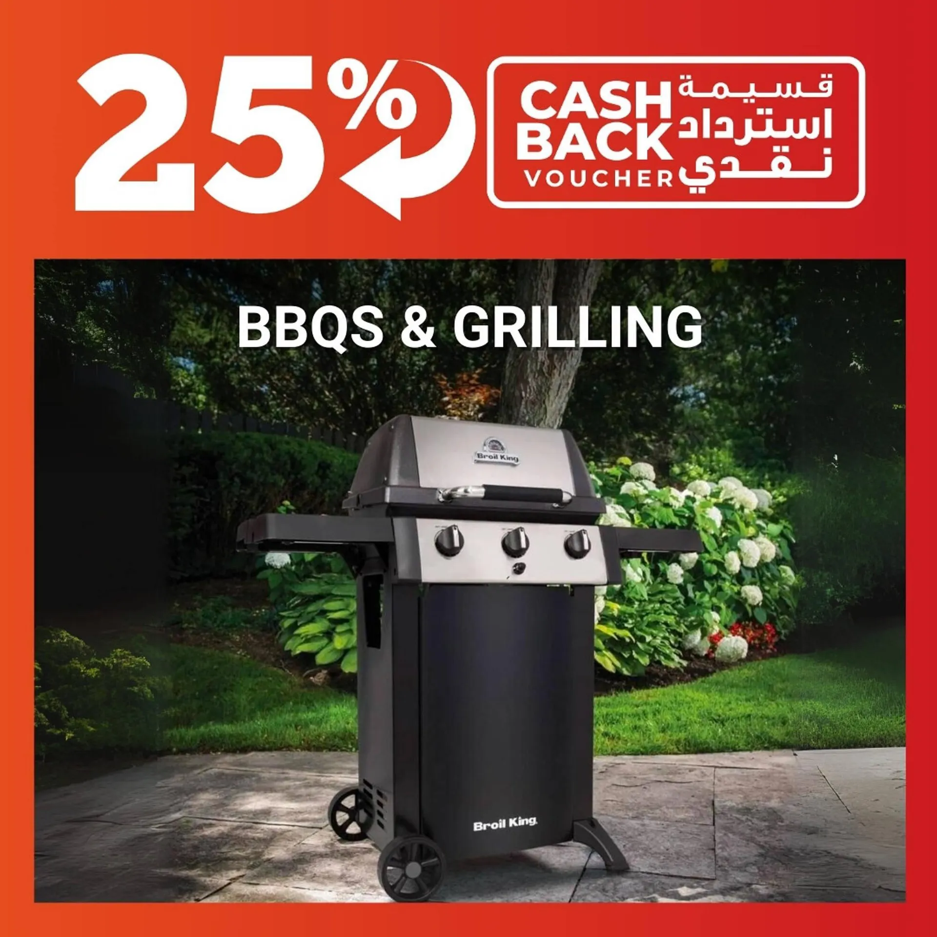 Ace catalogue from 24 February to 3 March 2024 - Offers page 