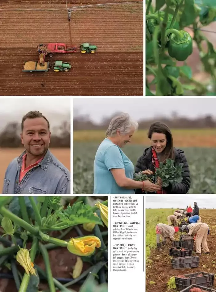 We Believe In Real Food!  from 7 January to 28 February 2025 - Offers page 37