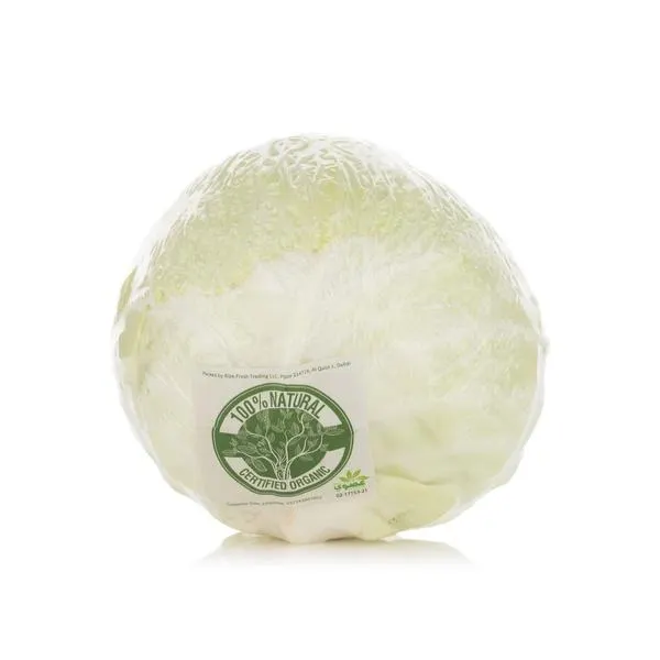 Organic white cabbage - India