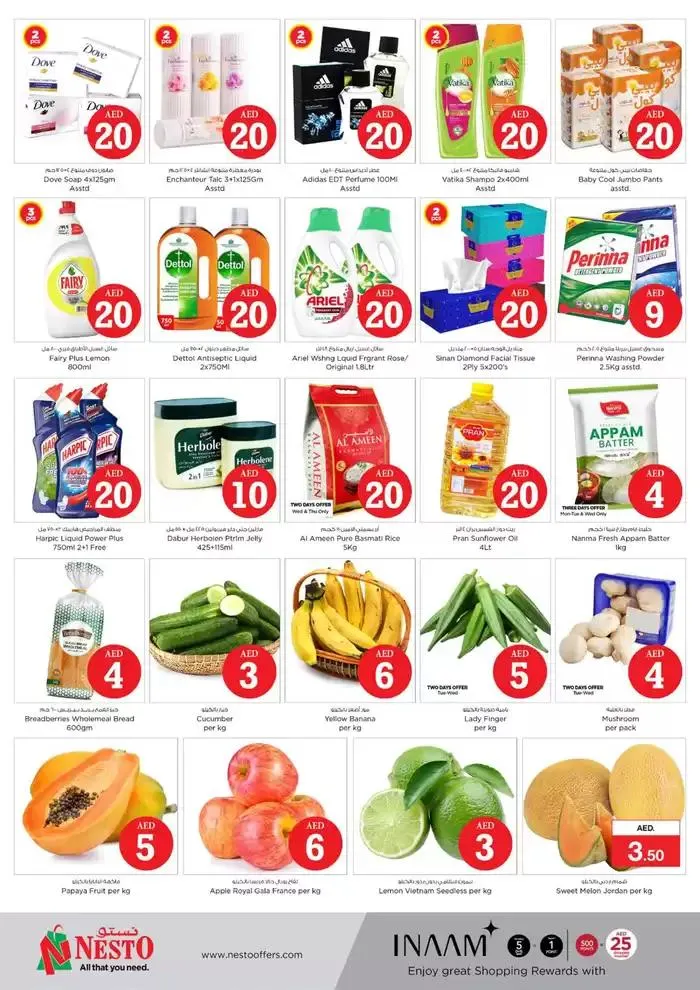 MAGICAL FIGURES NESTO NPT from 28 October to 1 November 2024 - Offers page 2