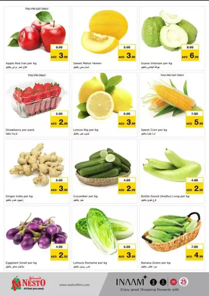 Nesto DEIRA SHOPPING DAYS from 9 January to 13 January 2025 - Offers page 13