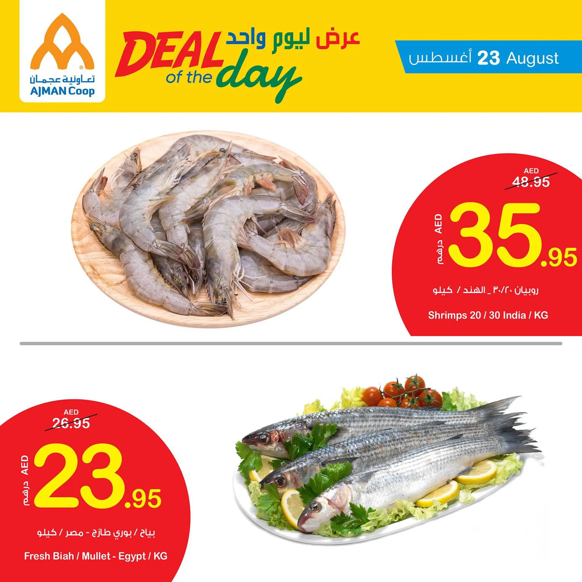 Ajman Market catalogue from 23 August to 29 August 2023 - Offers page 9