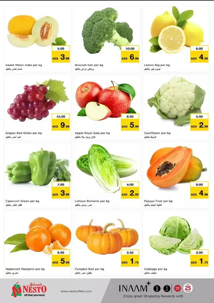 Nesto promotion from 17 February to 20 February 2025 - Offers page 8