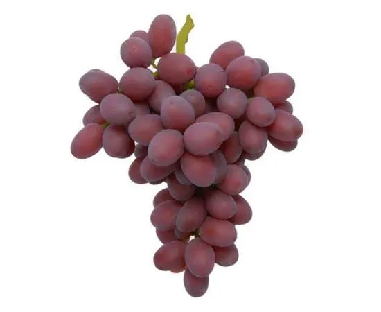 Red Grape Seedless - USA