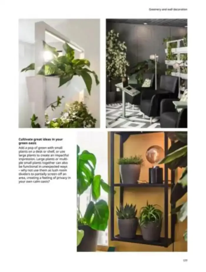 Office Brochure is Live Now! from 5 February to 31 December 2025 - Offers page 177