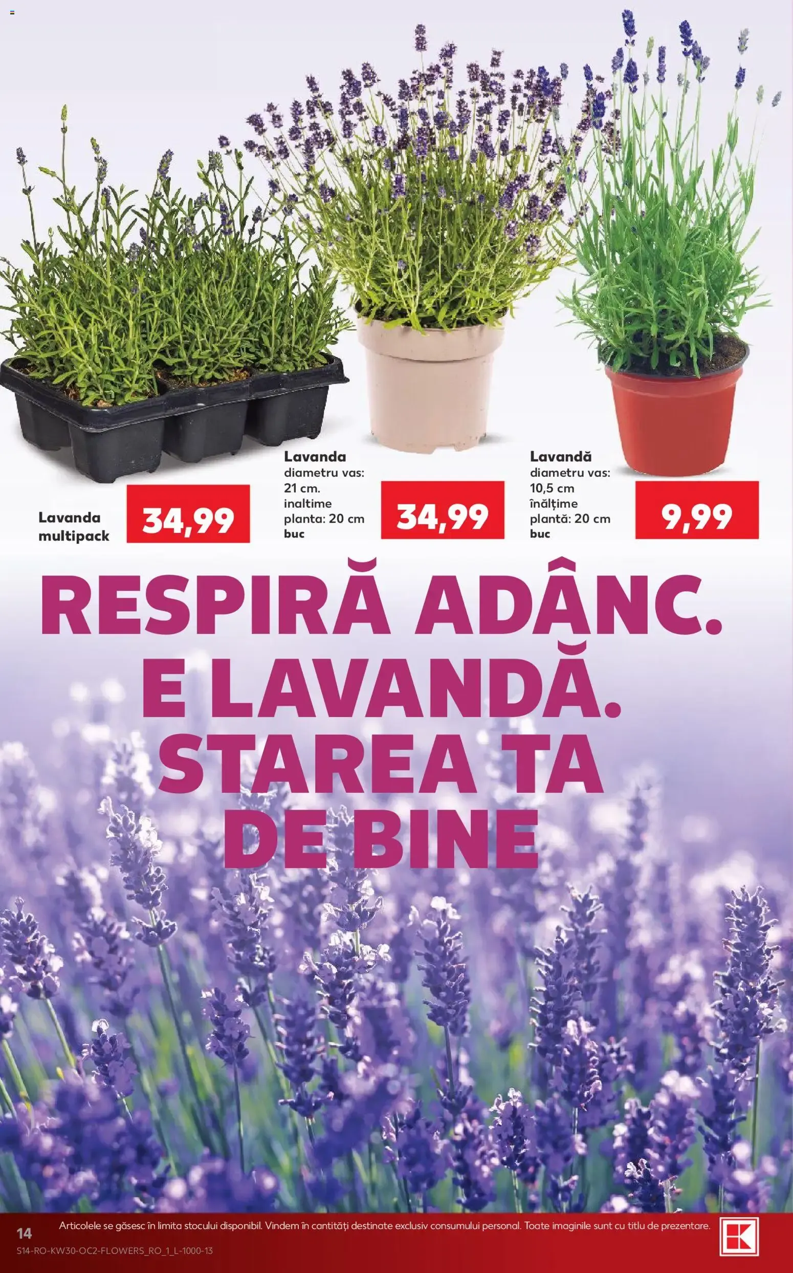 Catalog Kaufland Catalog 22.07.2026 - Revista si Oferta de la 22 iulie până la 28 iulie 2026 - Revista Pagina 14