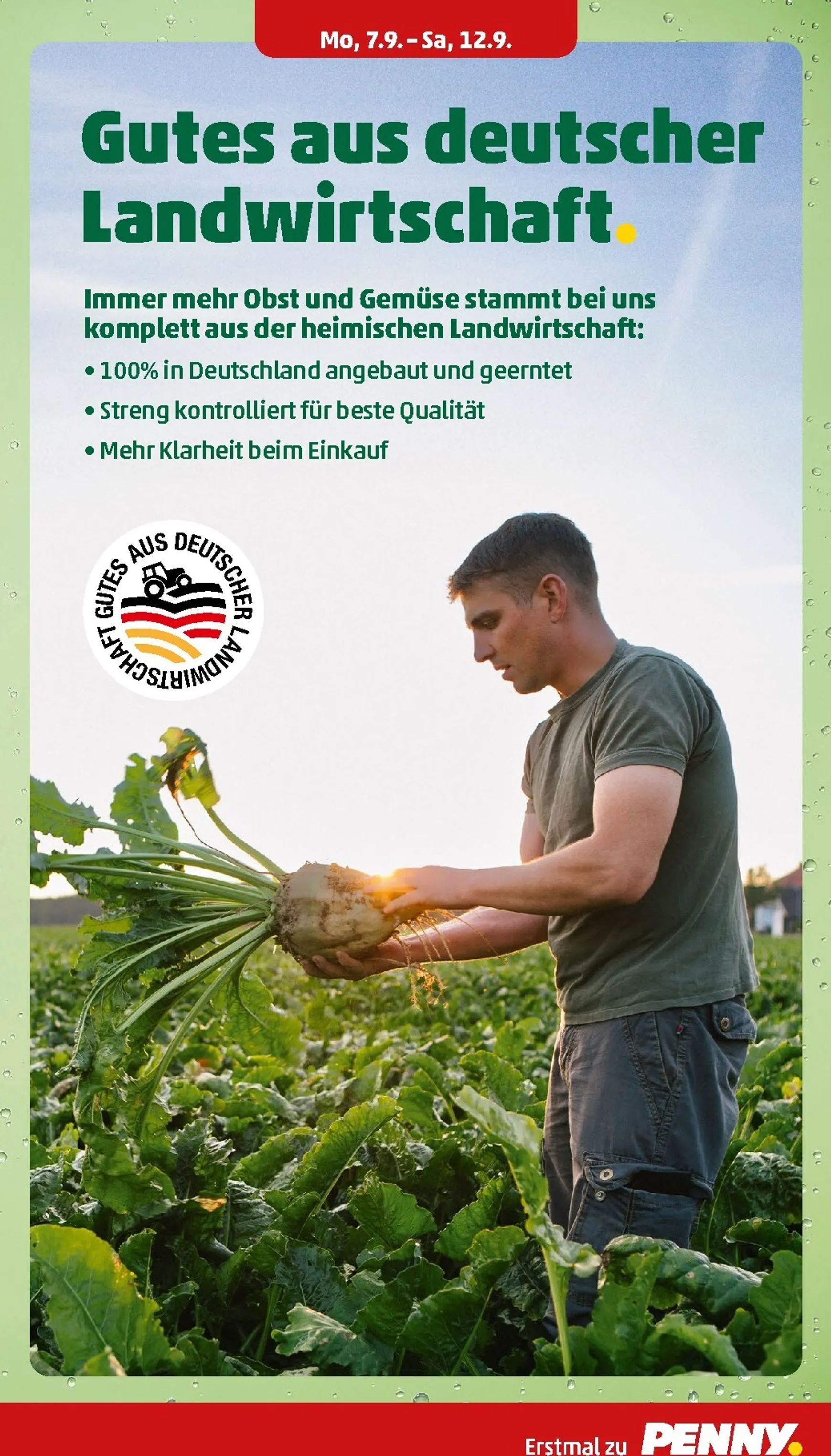 PENNY Prospekt nächste Woche – von Montag 07.09.2026 bis Samstag 12.09.2026 von 7. September bis 12. September 2026 - Prospekt seite 5