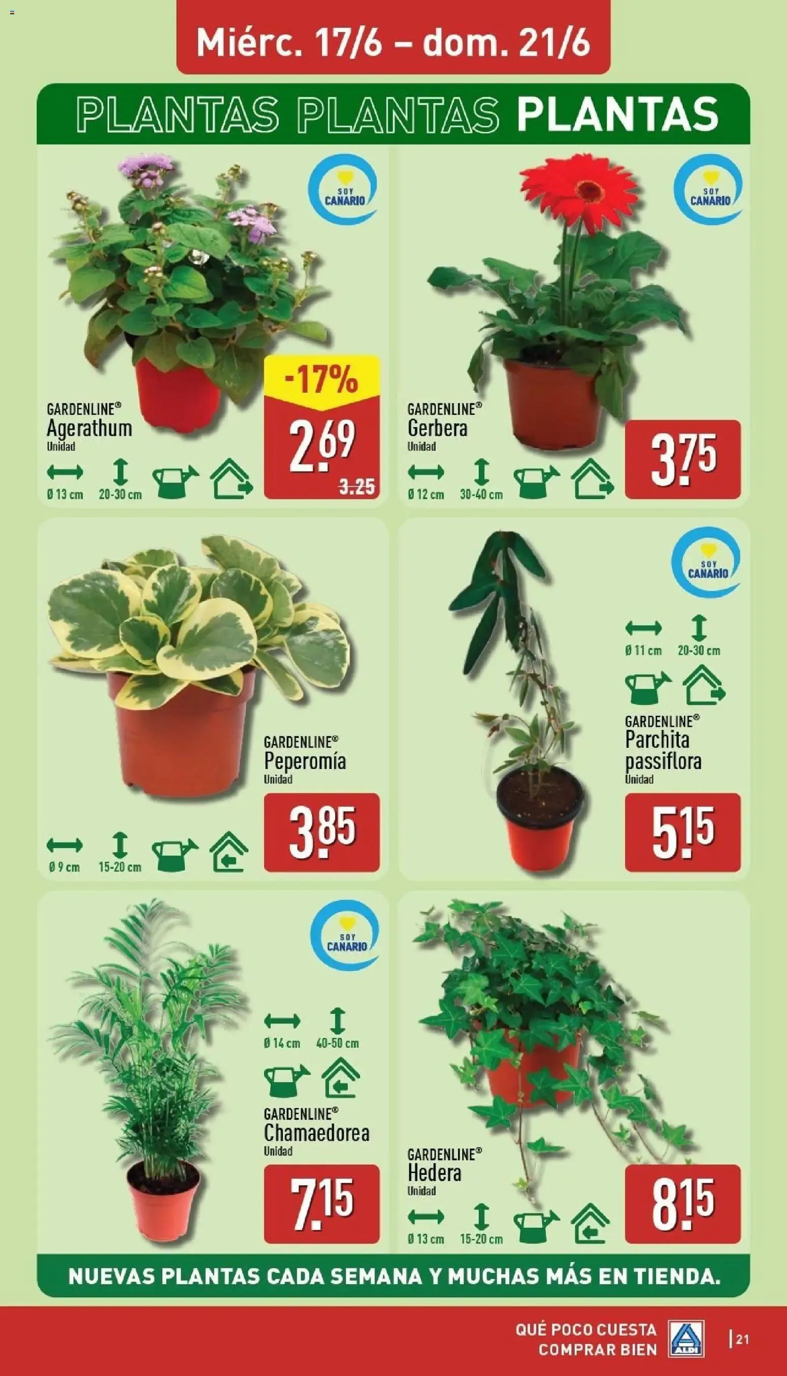 Catálogo de Folleto Aldi 15 de junio al 21 de junio 2026 - Página 20