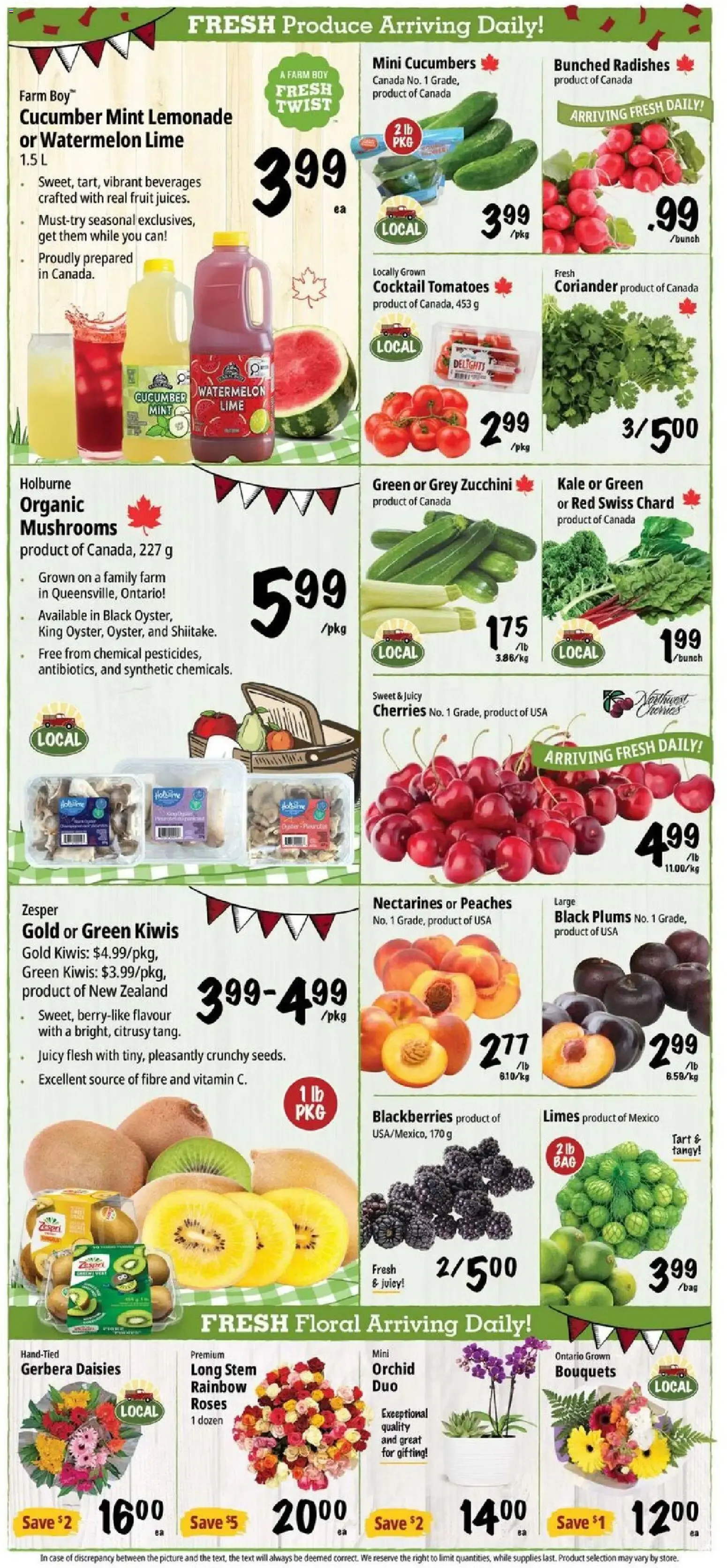 Farm Boy weekly flyer / circulaire from Jun 25, 2026 > weekly specials & deals from June 25 to July 1 2026 - flyer page 4
