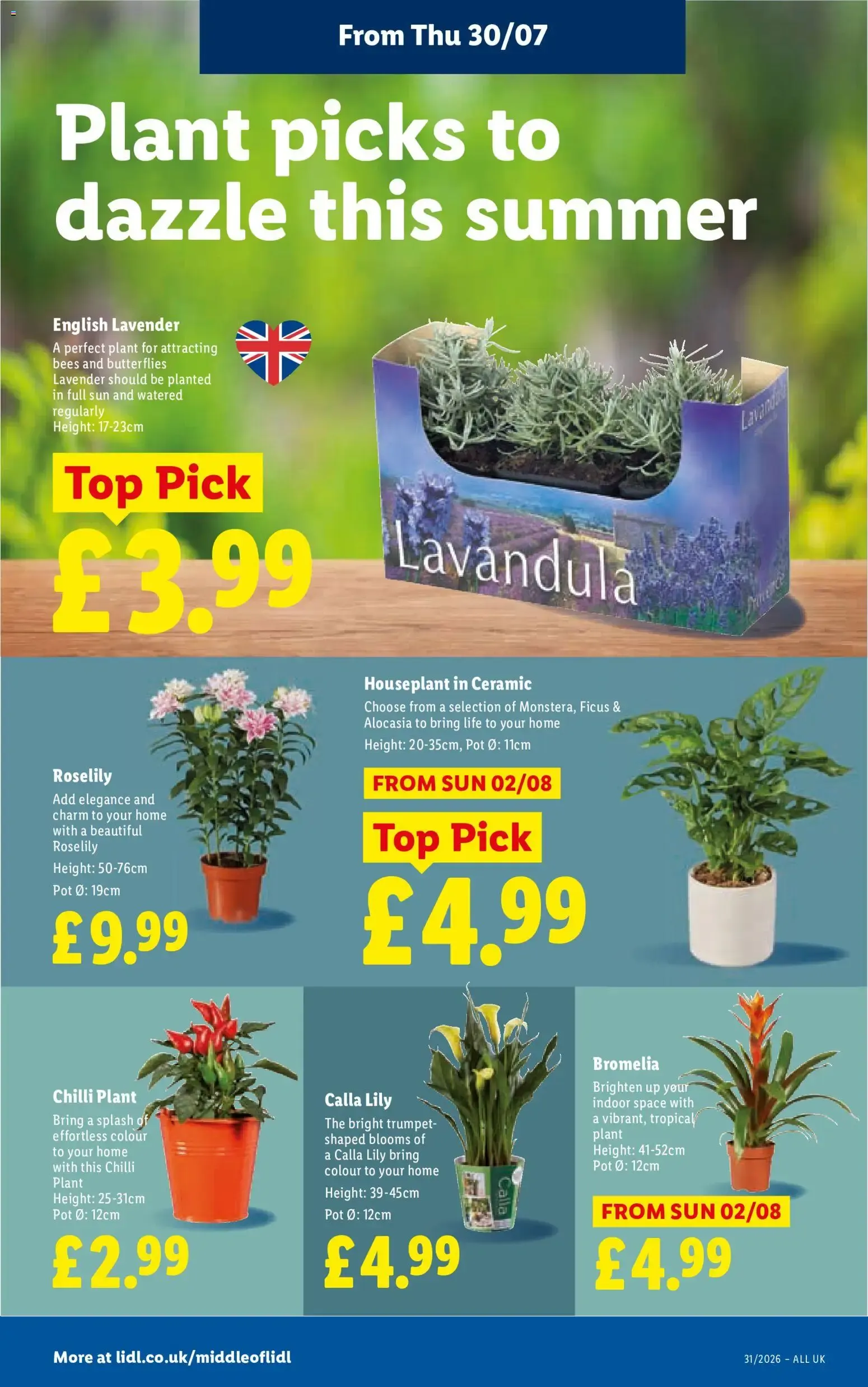 Weekly offers Lidl (30/07/2026 - 05/08/2026) - Offers Online from 30 July to 5 August 2026 - Catalogue Page 26