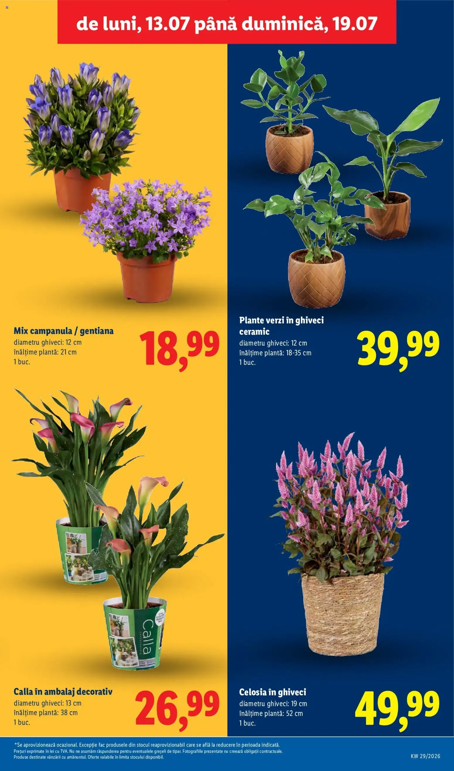 Catalog Catalog LIDL 13.07.2026 - Oferta și Revista online de la 13 iulie până la 19 iulie 2026 - Revista Pagina 59