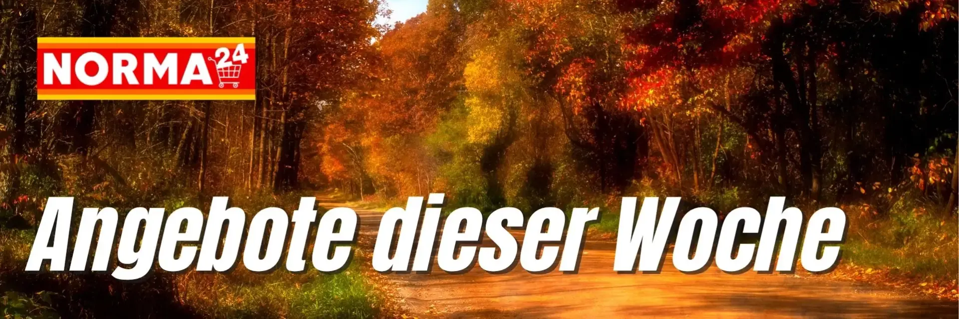 NORMA 24 - Angebote dieser Woche von 20. Oktober bis 26. Oktober 2026 - Prospekt seite 1