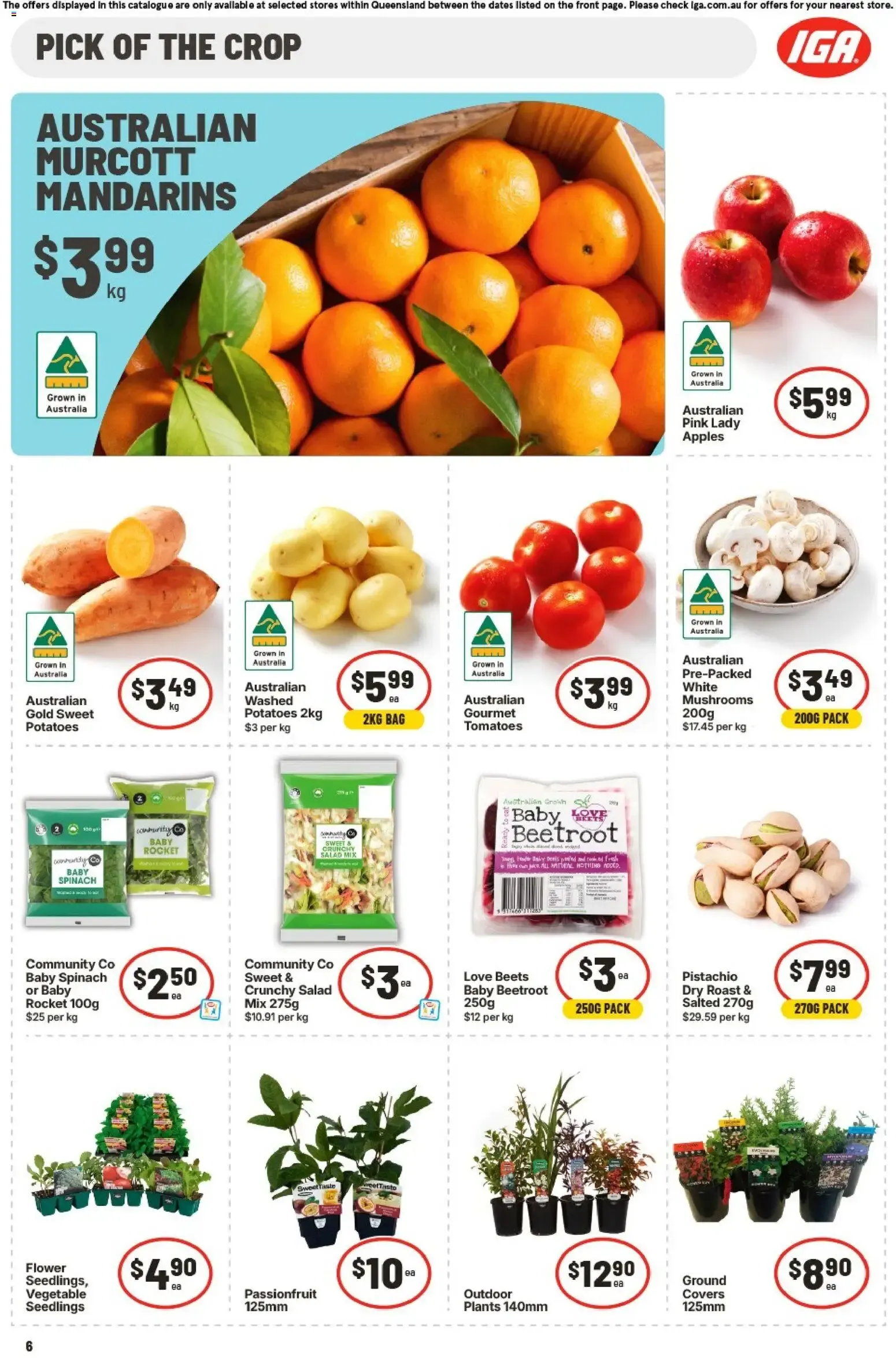 IGA catalogue valid from 09/09/2026 > Online Australia - Catalogue valid from 9 September to 15 September 2026 - page 7