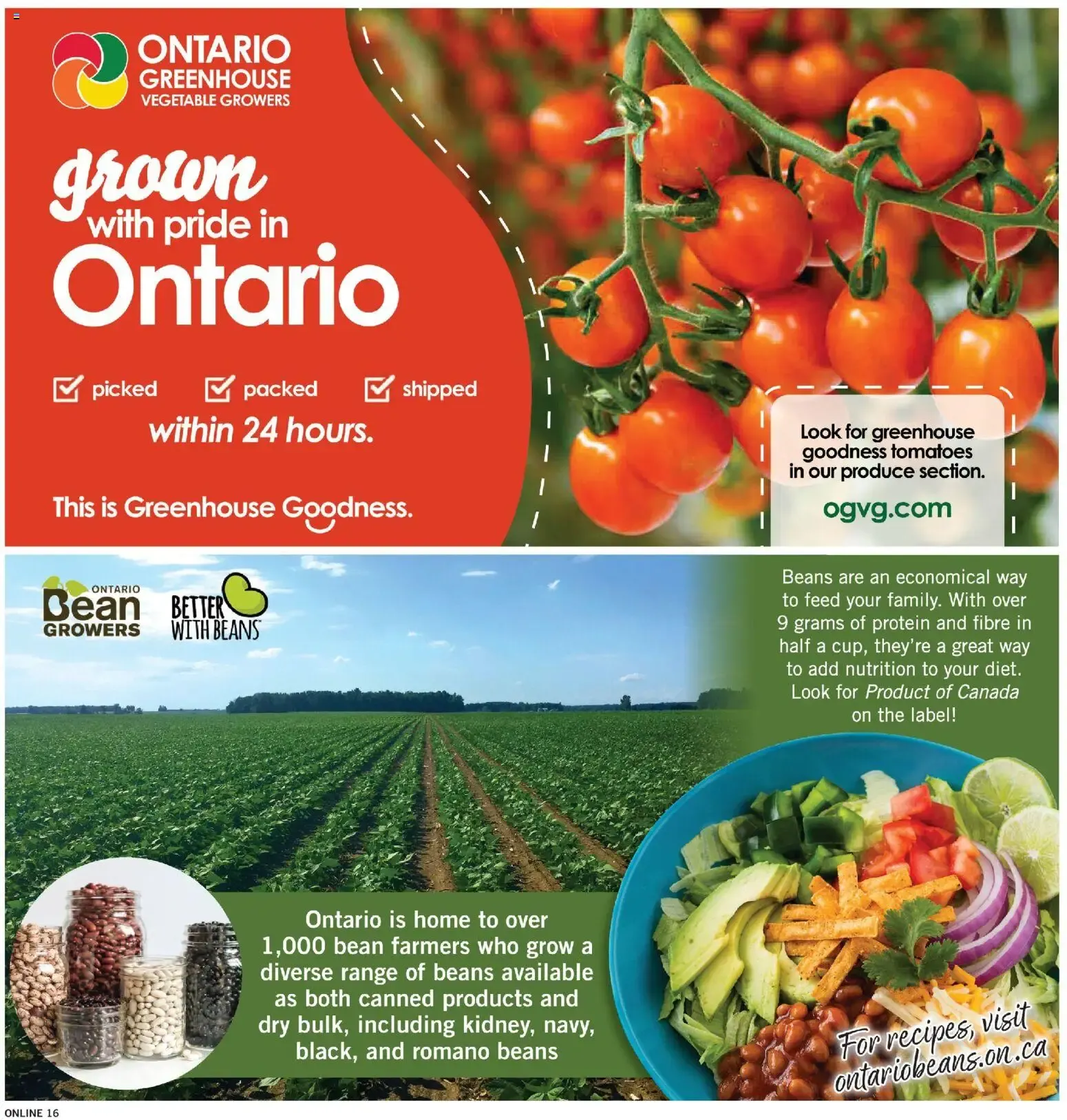 Fortinos weekly flyer / circulaire from Aug 13, 2026 > weekly specials & deals from August 13 to August 19 2026 - flyer page 15