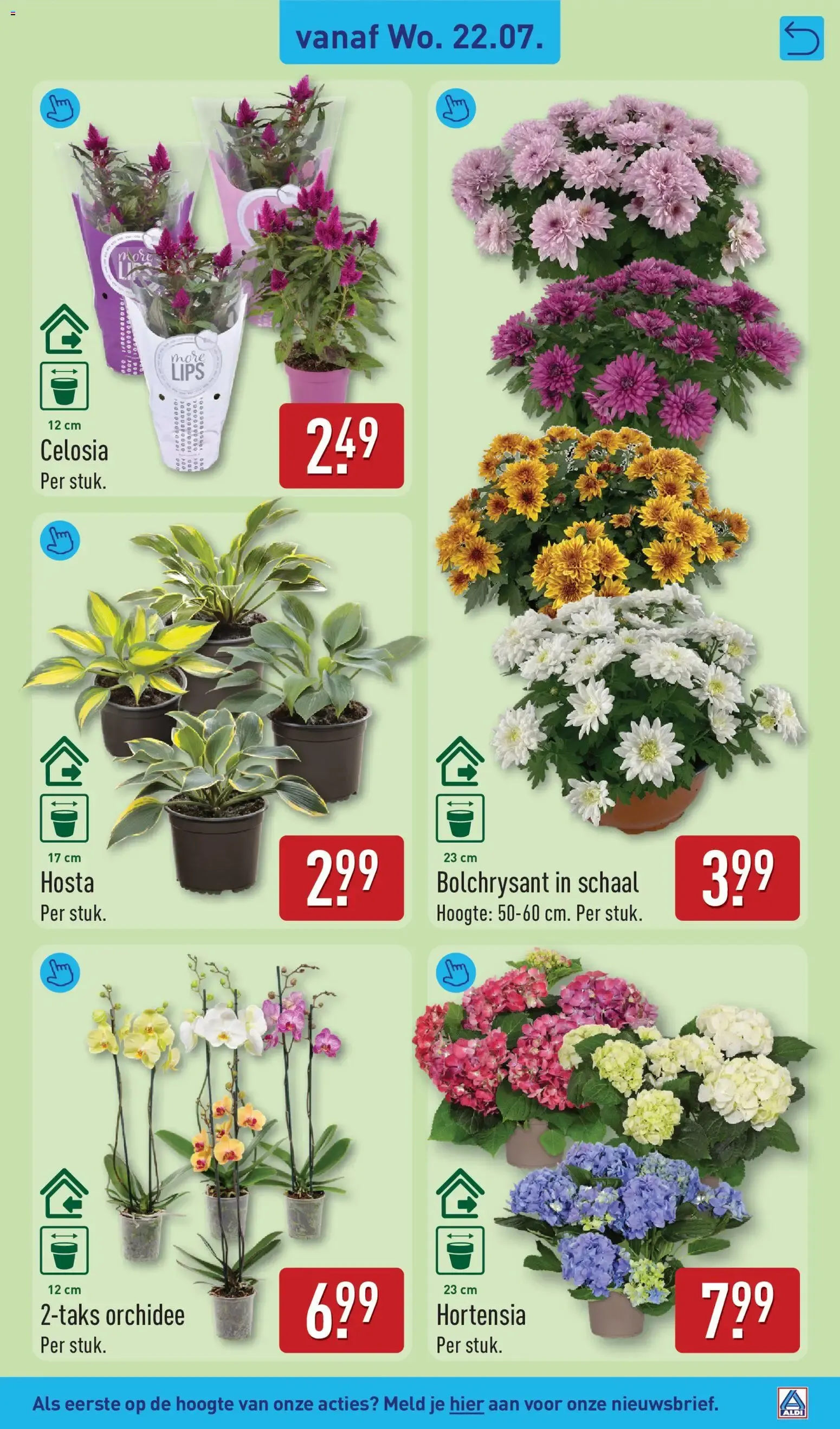 Folleto semanal de ofertas de Aldi (20 al 26 de julio) van 20 juli tot 26 juli 2026 - Folder pagina 37