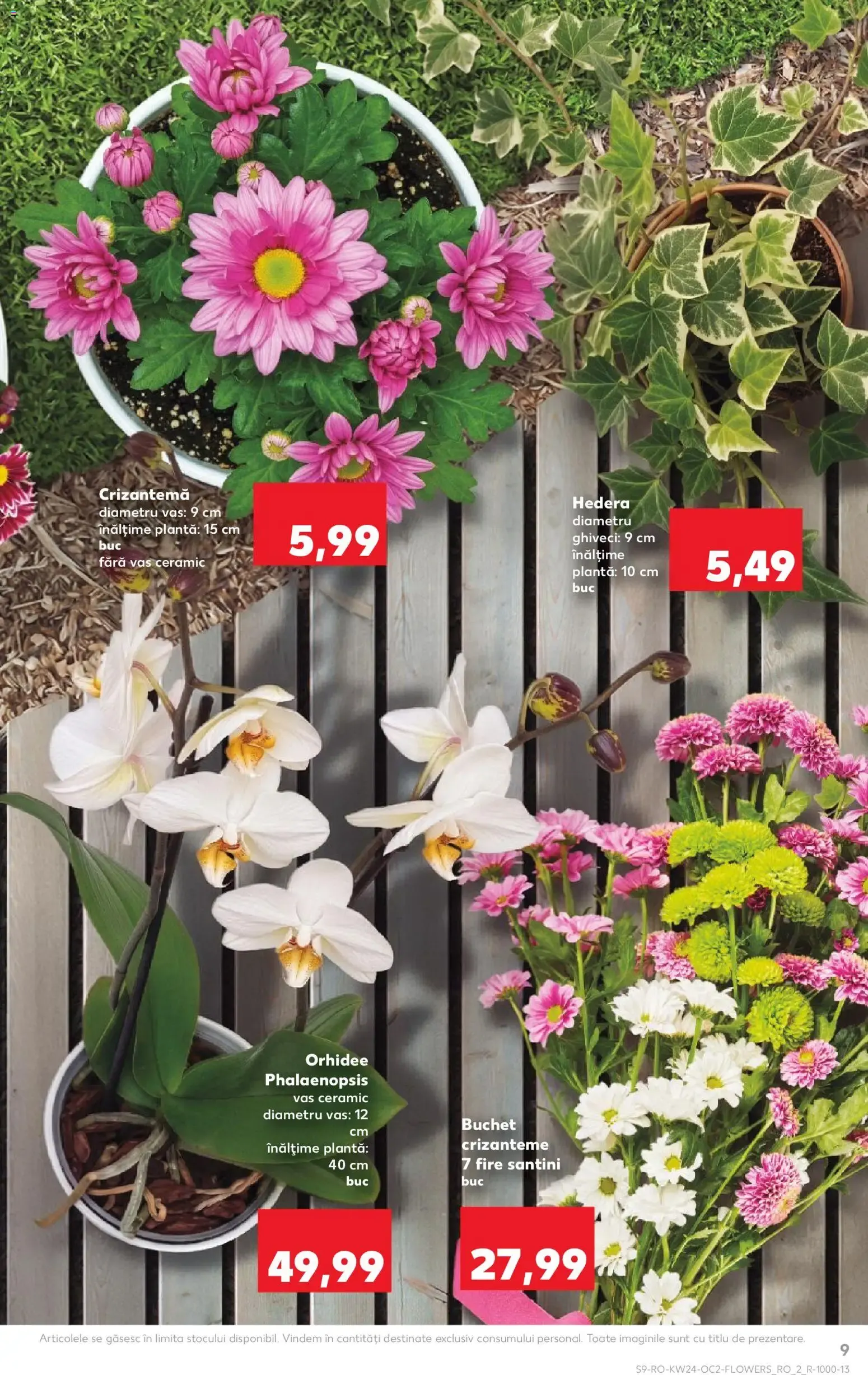 Catalog Kaufland Catalog 10.06.2026 - Revista si Oferta de la 10 iunie până la 16 iunie 2026 - Revista Pagina 9