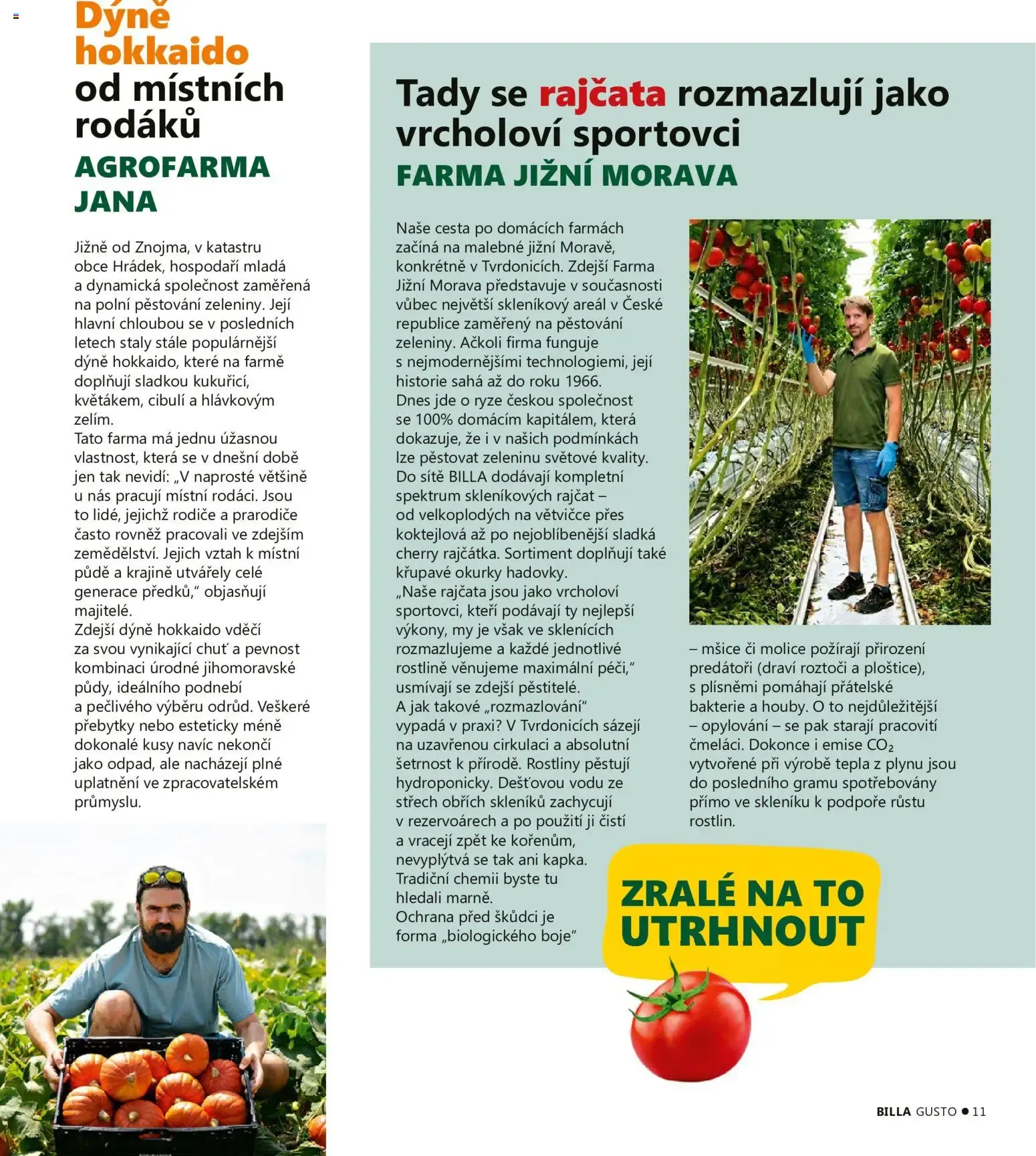 BILLA Gusto, Podzim 2026 - 1. září 30. listopadu 2026 - Page 11