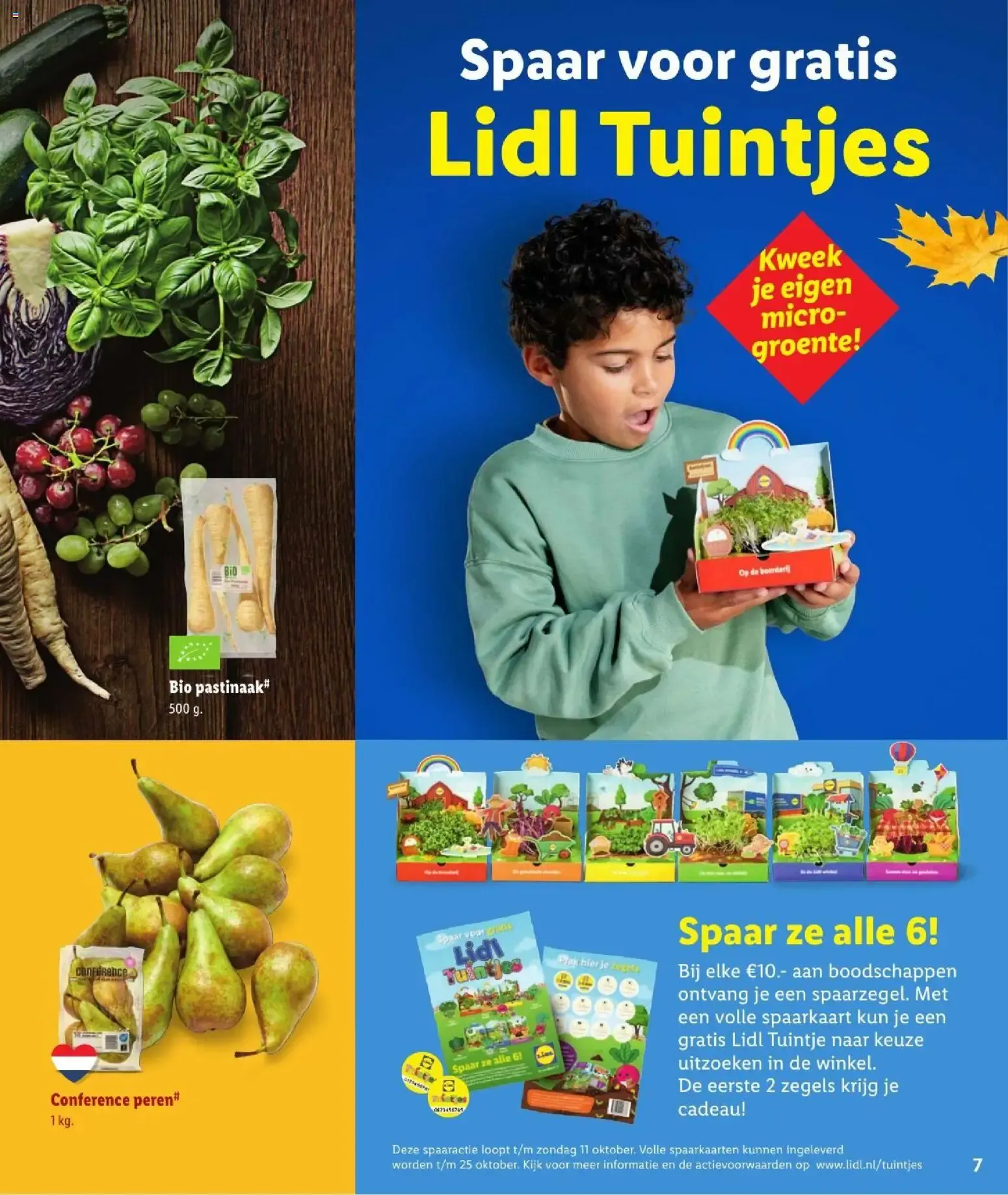 Proef de herfst van 23 september tot 1 november 2026 - Folder pagina 7