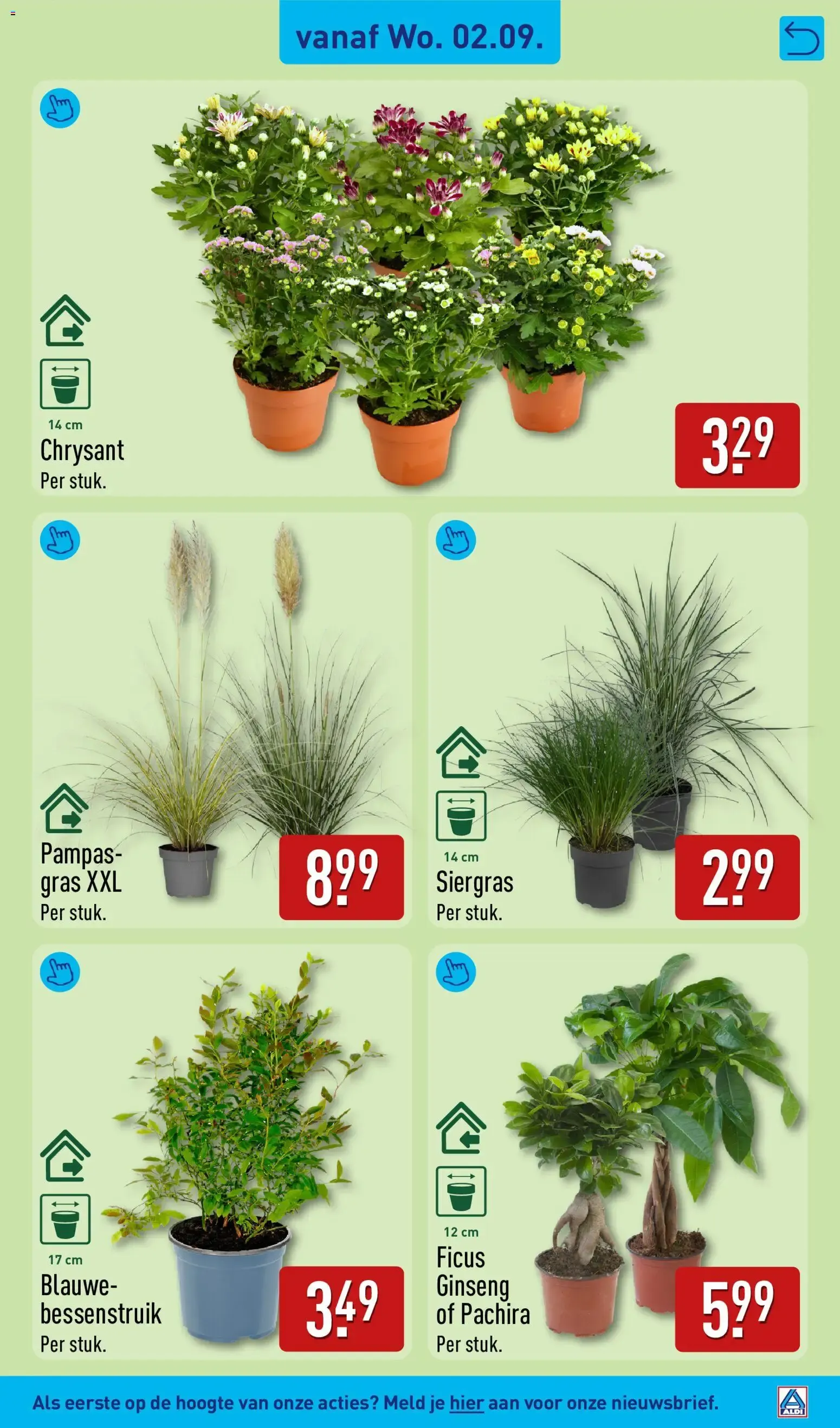 Aldi Fans van Voordeel van 31 augustus tot 6 september 2026 - Folder pagina 55