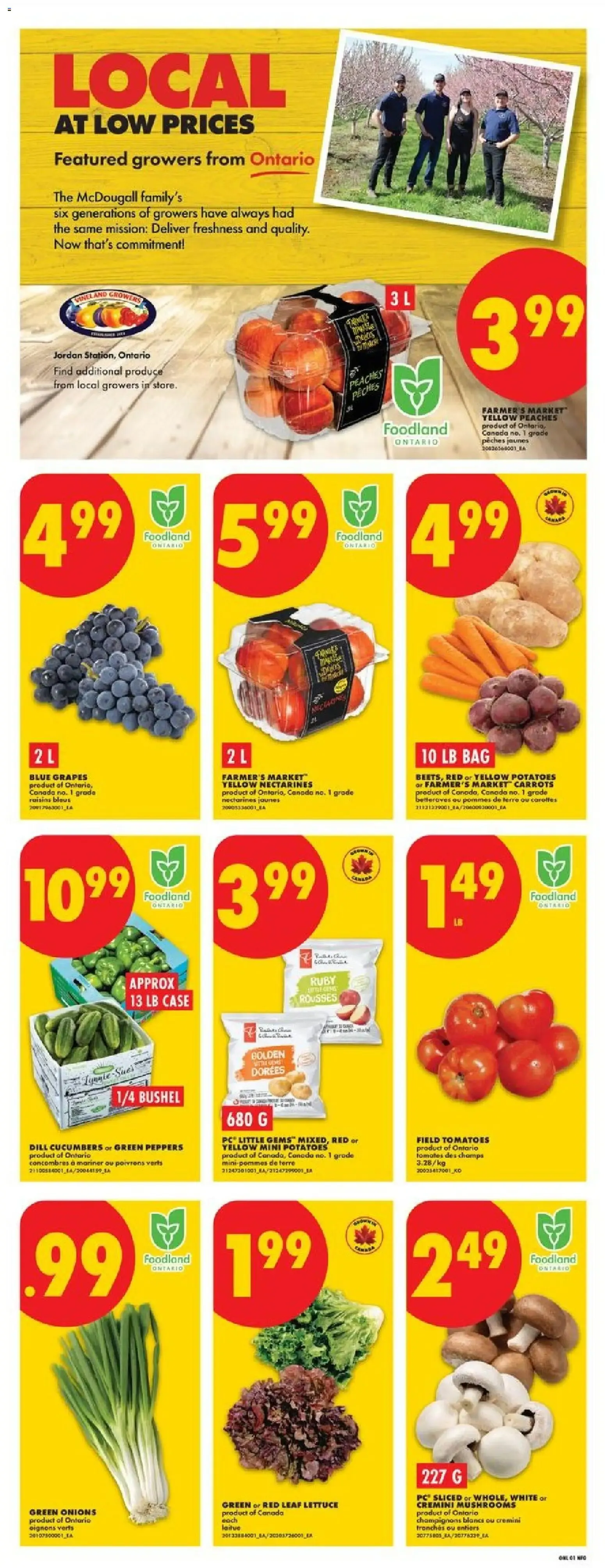 No Frills weekly flyer - ON from Aug 20, 2026 > weekly specials & deals from August 20 to August 26 2026 - flyer page 3