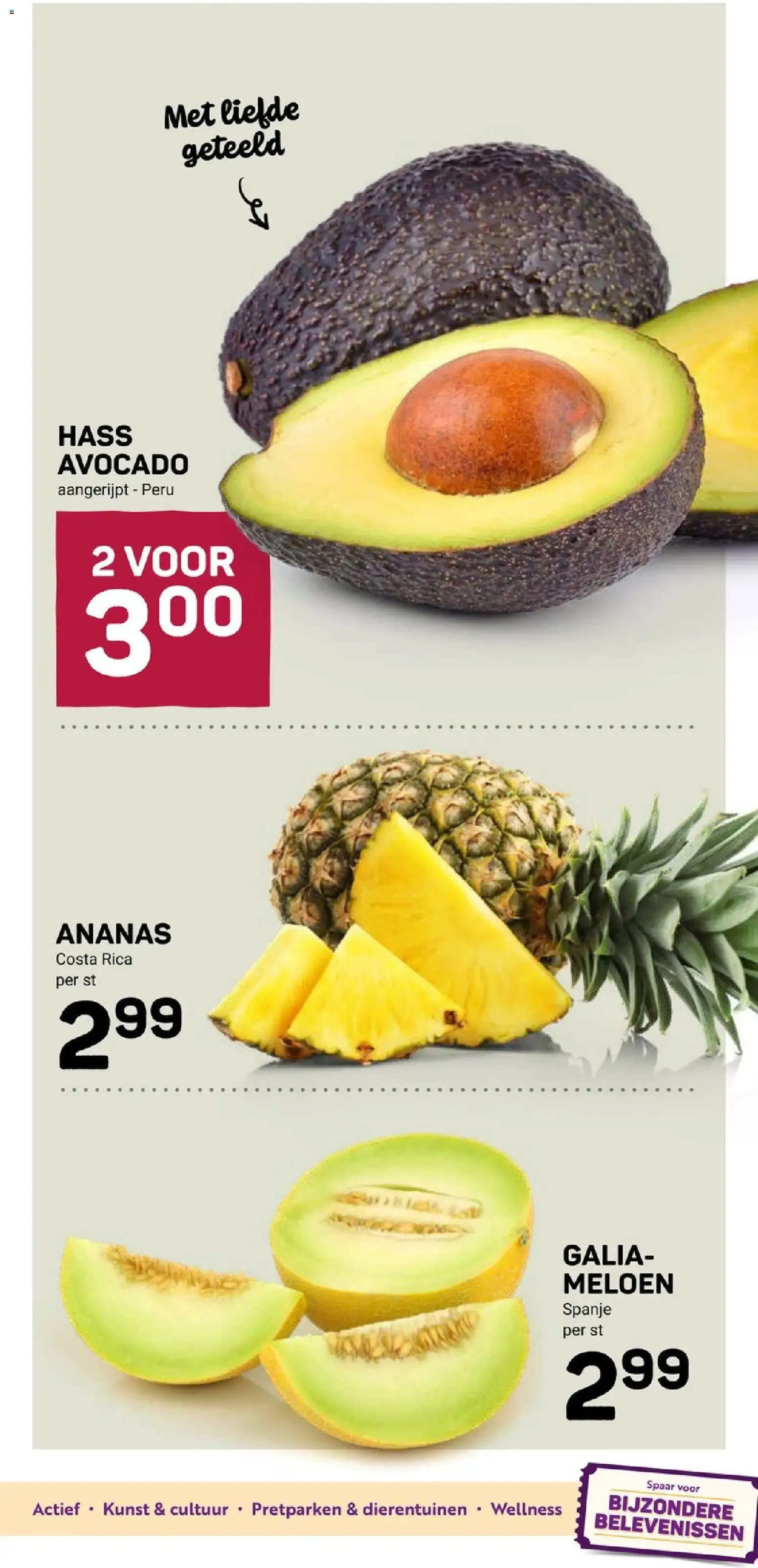 Ekoplaza - Karma Kombucha van 5 augustus tot 11 augustus 2026 - Folder pagina 13