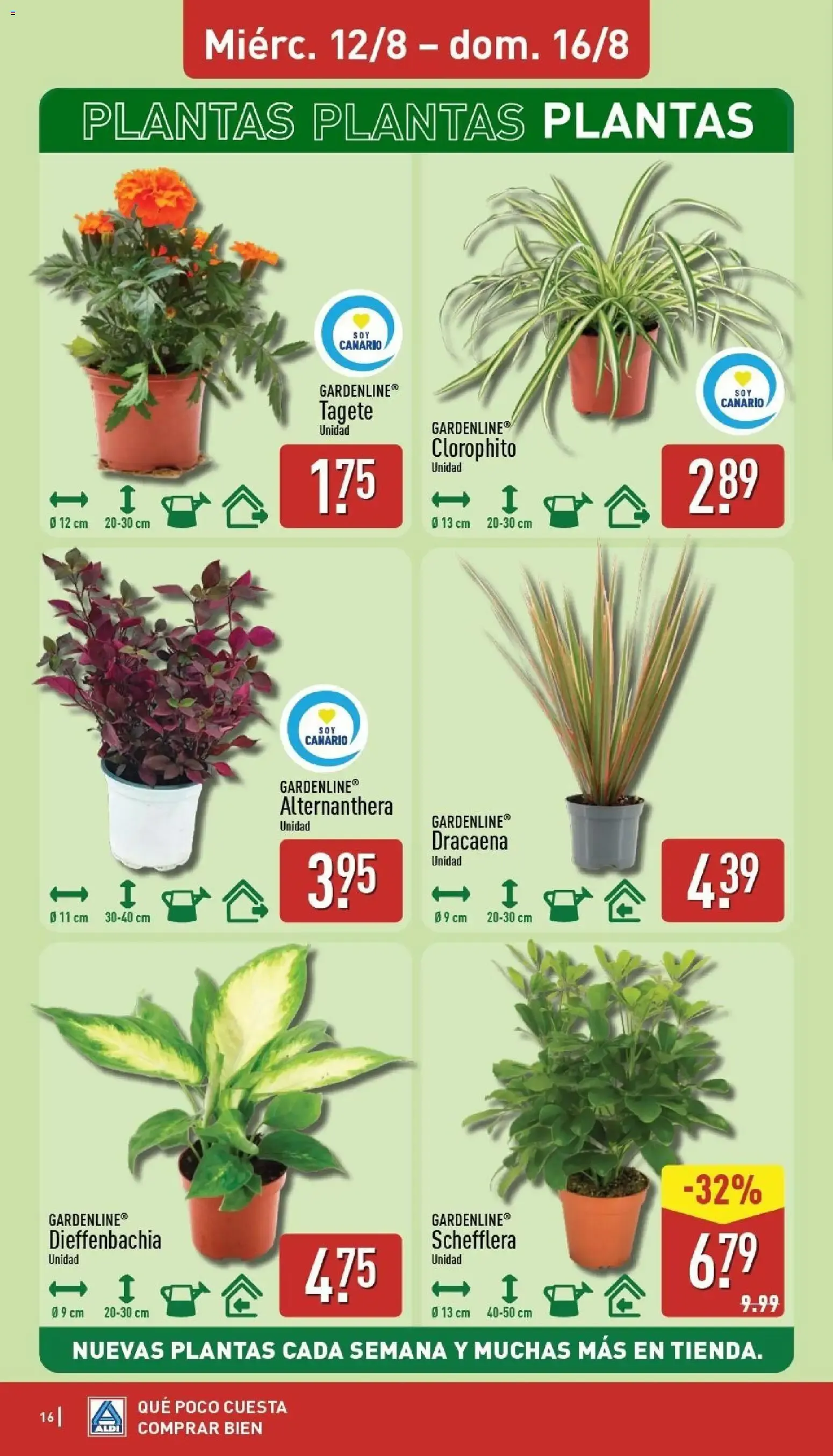 Catálogo de Aldi: Frescura a precios para tirarse a la piscina. 10 de agosto al 16 de agosto 2026 - Página 16
